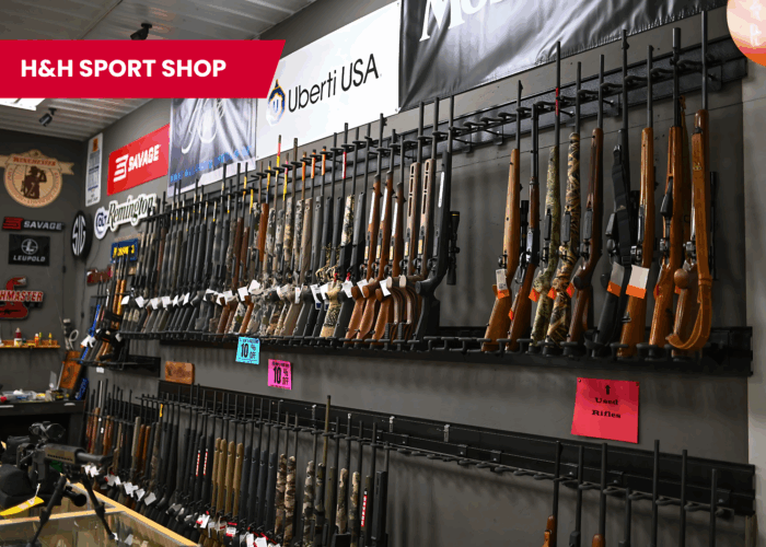 Two Well-Established Sporting Goods Stores - Image 11