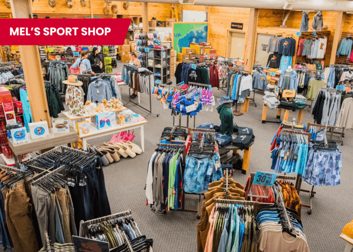Two Well-Established Sporting Goods Stores - Image 3
