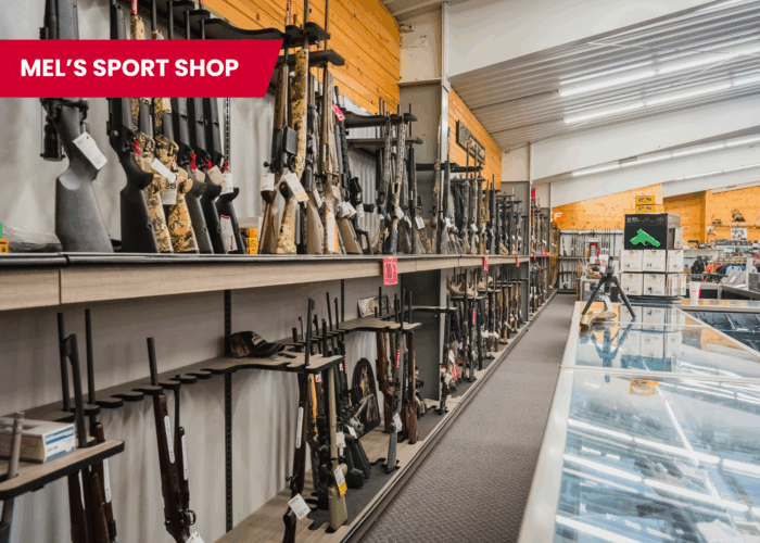 Two Well-Established Sporting Goods Stores - Image 5